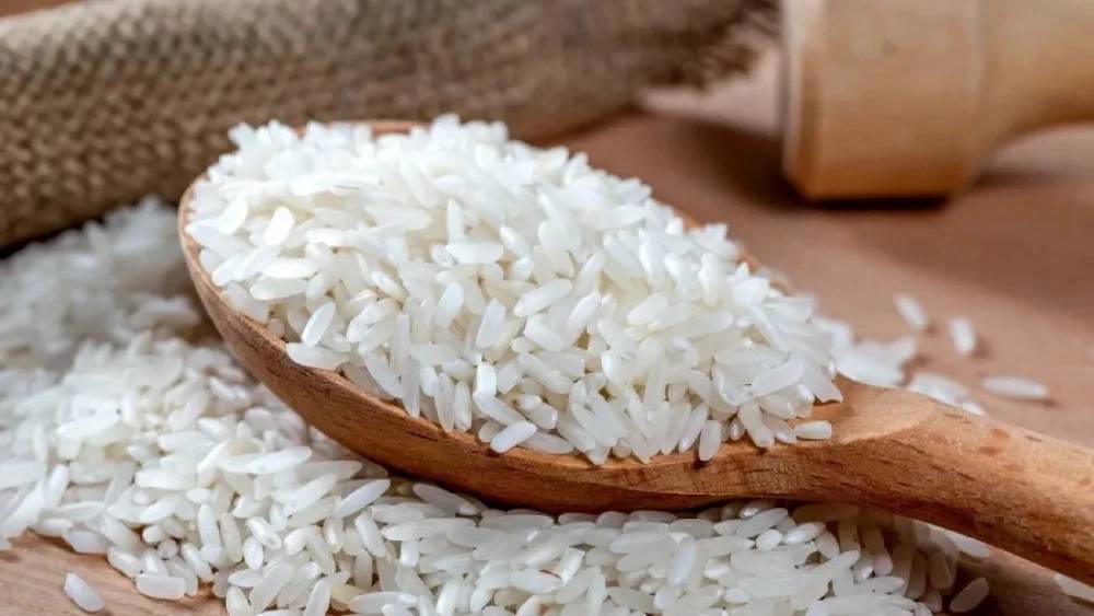 آشنایی با انواع برنج ایرانی